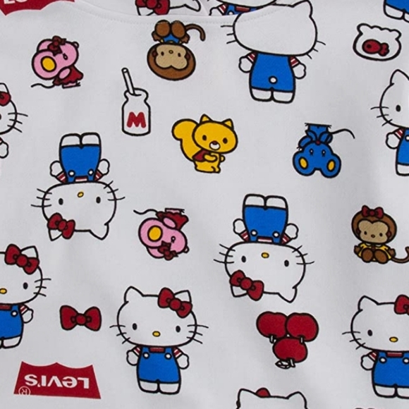 Levi's x Hello Kitty Boxy Fit Hoodie + Jeggings set outfit fit - Picture 5 of 10